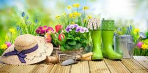 Lire la suite à propos de l’article Matinée de jardinage